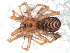  ( - IFM-2305)  @11 [ ] Unspecified (default): All Rights Reserved  Unspecified Unspecified