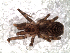  ( - IFM-2315)  @11 [ ] Unspecified (default): All Rights Reserved  Unspecified Unspecified