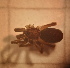  ( - IFM-2496)  @11 [ ] Unspecified (default): All Rights Reserved  Unspecified Unspecified