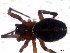 ( - IFM-0501)  @11 [ ] Unspecified (default): All Rights Reserved  Unspecified MACN