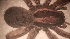  ( - MACN_Ar_40971)  @11 [ ] CreativeCommons  Attribution Non-Commercial Share-Alike (2022) Unspecified Museo Argentino de Ciencias Naturales