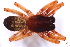  ( - MJR-1641)  @11 [ ] CreativeCommons - Attribution Non-Commercial Share-Alike (2015) Unspecified Museo Argentino de Ciencias Naturales