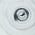  ( - SPGW_017_A7)  @11 [ ] by  Genome Research Ltd as Wellcome Sanger Institute Genome Research Limited operating as Wellcome Sanger Institute