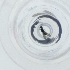  ( - SPGW_017_D11)  @11 [ ] by  Genome Research Ltd as Wellcome Sanger Institute Genome Research Limited operating as Wellcome Sanger Institute