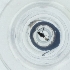  ( - SPGW_018_C2)  @11 [ ] by  Genome Research Ltd as Wellcome Sanger Institute Genome Research Limited operating as Wellcome Sanger Institute