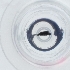  ( - SPGW_018_H10)  @11 [ ] by  Genome Research Ltd as Wellcome Sanger Institute Genome Research Limited operating as Wellcome Sanger Institute