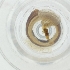  ( - SPGW_019_A7)  @11 [ ] by  Genome Research Ltd as Wellcome Sanger Institute Genome Research Limited operating as Wellcome Sanger Institute