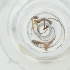  ( - SPGW_019_B11)  @11 [ ] by  Genome Research Ltd as Wellcome Sanger Institute Genome Research Limited operating as Wellcome Sanger Institute