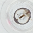  ( - SPGW_024_E11)  @11 [ ] by  Genome Research Ltd as Wellcome Sanger Institute Genome Research Limited operating as Wellcome Sanger Institute