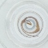  ( - SPGW_026_A2)  @11 [ ] by  Genome Research Ltd as Wellcome Sanger Institute Genome Research Limited operating as Wellcome Sanger Institute