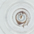  ( - SPGW_026_E2)  @11 [ ] by  Genome Research Ltd as Wellcome Sanger Institute Genome Research Limited operating as Wellcome Sanger Institute