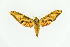  ( - SP19511)  @11 [ ] Unspecified (default): All Rights Reserved  Unspecified Unspecified