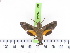  ( - BC-LTM-102)  @12 [ ] Copyright (2010) Unspecified Research Collection of James P. Tuttle