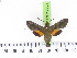  ( - BC-LTM-103)  @12 [ ] Copyright (2010) Unspecified Research Collection of James P. Tuttle