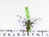 ( - BC-LTM-114)  @12 [ ] Copyright (2010) Unspecified Research Collection of James P. Tuttle