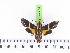  ( - BC-LTM-122)  @13 [ ] Copyright (2010) Unspecified Research Collection of James P. Tuttle