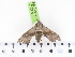  ( - BC-JT-28M.1)  @11 [ ] Copyright (2010) Unspecified Research Collection of James P. Tuttle