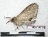  ( - BC-PhA0192)  @13 [ ] Copyright (2010) Unspecified Research Collection of Philippe Annoyer