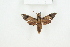  ( - BC-TB8188)  @12 [ ] Copyright (2011) Thierry Bouyer Research Collection of Thierry Bouyer