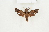  ( - BC-TB8190)  @13 [ ] Copyright (2011) Thierry Bouyer Research Collection of Thierry Bouyer