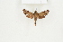  ( - BC-TB8194)  @12 [ ] Copyright (2011) Thierry Bouyer Research Collection of Thierry Bouyer