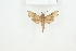  ( - BC-TB8196)  @12 [ ] Copyright (2011) Thierry Bouyer Research Collection of Thierry Bouyer