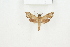 ( - BC-TB8197)  @12 [ ] Copyright (2011) Thierry Bouyer Research Collection of Thierry Bouyer