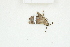  ( - BC-TB8238)  @12 [ ] Copyright (2011) Thierry Bouyer Research Collection of Thierry Bouyer