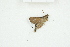  ( - BC-TB8255)  @12 [ ] Copyright (2011) Thierry Bouyer Research Collection of Thierry Bouyer