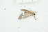  ( - BC-TB8269)  @12 [ ] Copyright (2011) Thierry Bouyer Research Collection of Thierry Bouyer