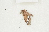  ( - BC-TB8271)  @12 [ ] Copyright (2011) Thierry Bouyer Research Collection of Thierry Bouyer