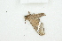  ( - BC-TB8272)  @11 [ ] Copyright (2011) Thierry Bouyer Research Collection of Thierry Bouyer