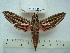  ( - BC-EST0483)  @14 [ ] Copyright (2010) Unspecified Research Collection of Yves Estradel