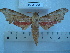  ( - BC-EST0499)  @13 [ ] Copyright (2010) Unspecified Research Collection of Yves Estradel