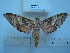  ( - BC-EST0500)  @13 [ ] Copyright (2010) Unspecified Research Collection of Yves Estradel