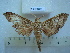  ( - BC-EST0506)  @13 [ ] Copyright (2010) Unspecified Research Collection of Yves Estradel
