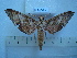  ( - BC-EST0510)  @13 [ ] Copyright (2010) Unspecified Research Collection of Yves Estradel