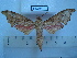  ( - BC-EST0511)  @13 [ ] Copyright (2010) Unspecified Research Collection of Yves Estradel