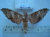  ( - BC-EST0512)  @13 [ ] Copyright (2010) Unspecified Research Collection of Yves Estradel