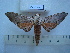 ( - BC-EST0514)  @13 [ ] Copyright (2010) Unspecified Research Collection of Yves Estradel