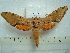  ( - BC-EST0518)  @14 [ ] Copyright (2010) Unspecified Research Collection of Yves Estradel