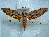  ( - BC-EST0522)  @14 [ ] Copyright (2010) Unspecified Research Collection of Yves Estradel