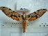  ( - BC-EST0523)  @14 [ ] Copyright (2010) Unspecified Research Collection of Yves Estradel