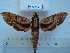  ( - BC-EST0549)  @14 [ ] Copyright (2010) Unspecified Research Collection of Yves Estradel