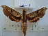  ( - BC-EST0559)  @14 [ ] Copyright (2010) Unspecified Research Collection of Yves Estradel