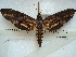  ( - BC-EST0561)  @14 [ ] Copyright (2010) Unspecified Research Collection of Yves Estradel