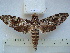  ( - BC-EST0567)  @14 [ ] Copyright (2010) Unspecified Research Collection of Yves Estradel
