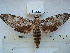  ( - BC-EST0568)  @14 [ ] Copyright (2010) Unspecified Research Collection of Yves Estradel
