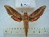  ( - BC-EST0576)  @13 [ ] Copyright (2010) Unspecified Research Collection of Yves Estradel