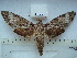  ( - BC-EST0578)  @14 [ ] Copyright (2010) Unspecified Research Collection of Yves Estradel